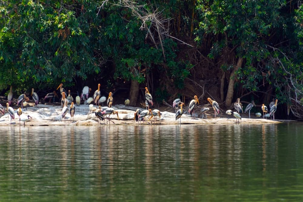 hotels near okhla bird sanctuary, noida