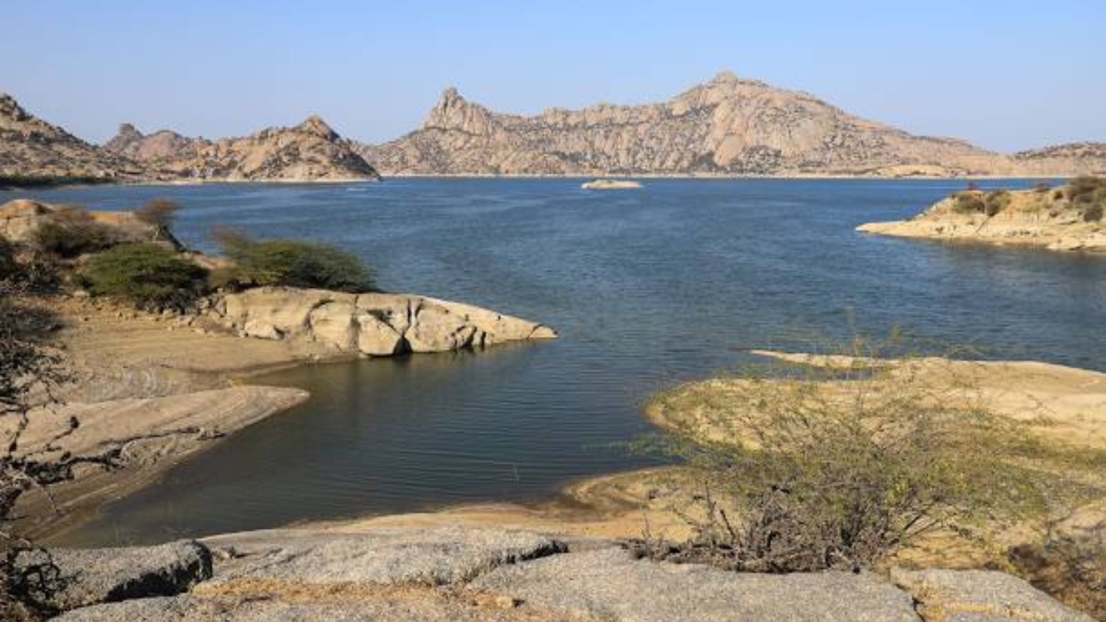 resorts near jawai bandh: your complete guide to jawai palash resort by alivaa